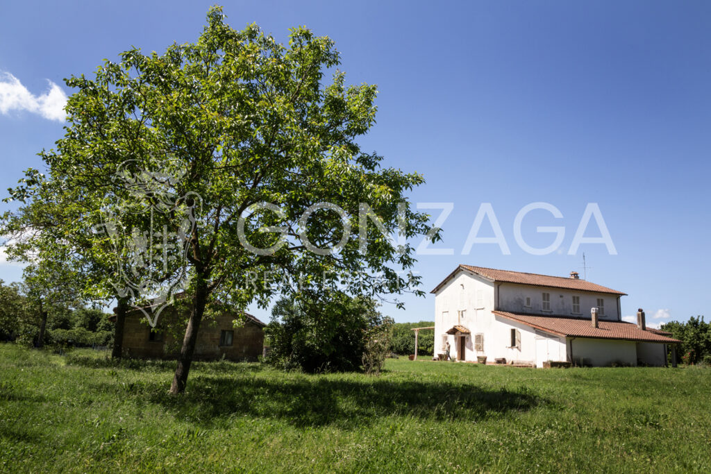 LCG_Capranica_02