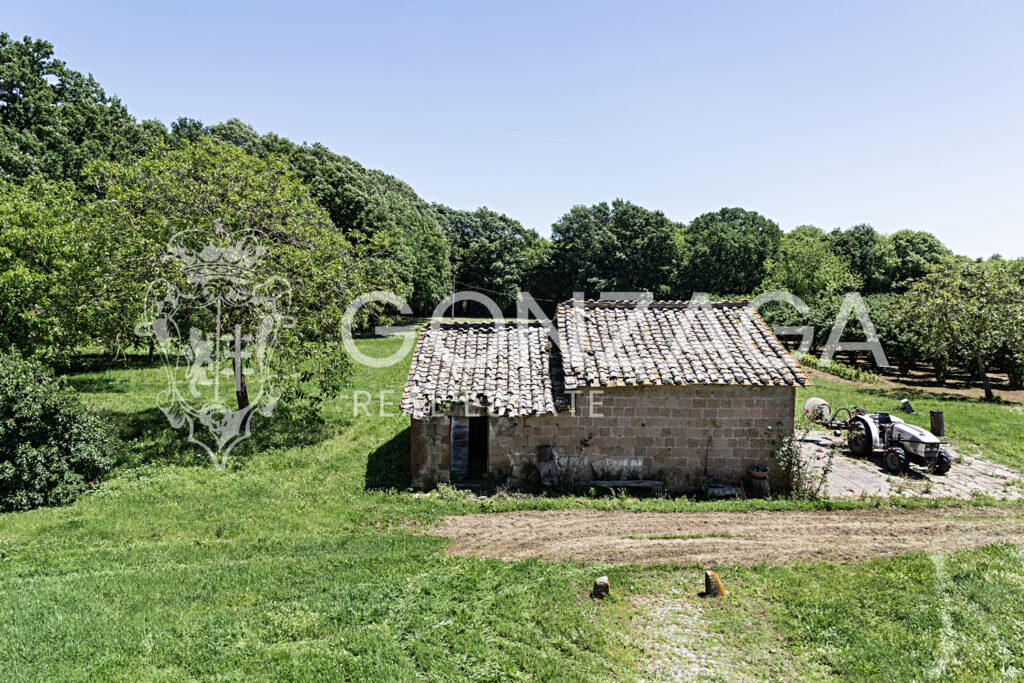 LCG_Capranica_05