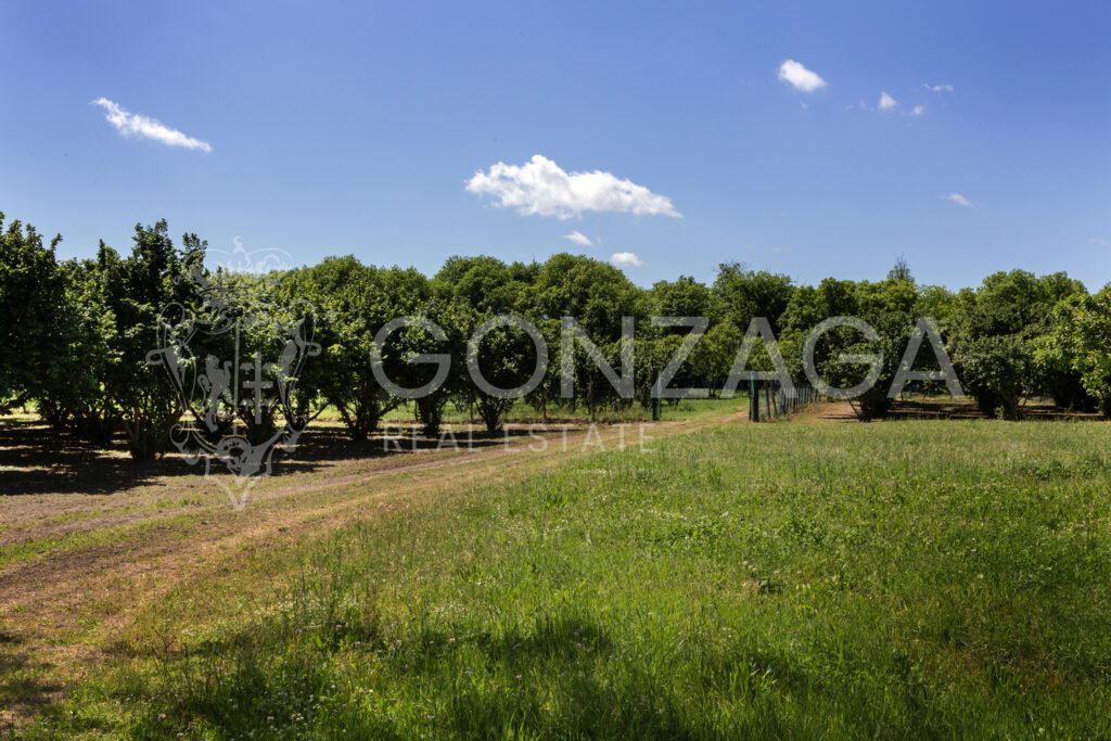 LCG_Capranica_07