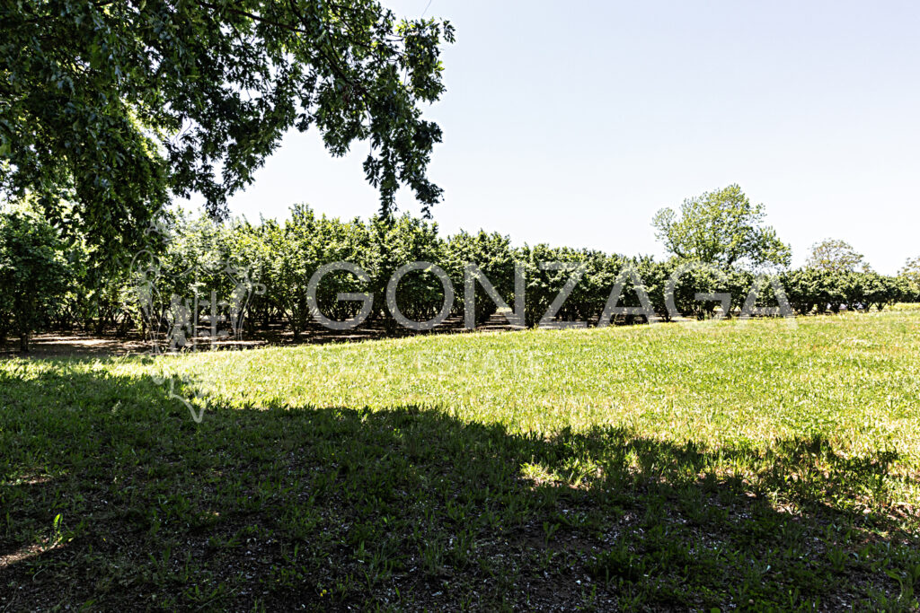 LCG_Capranica_09