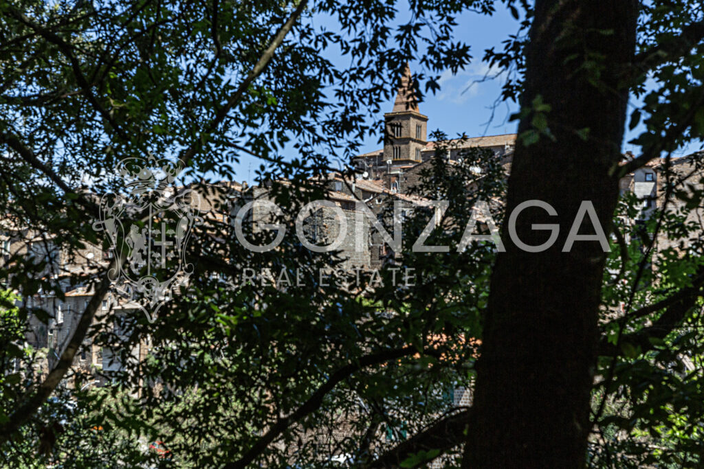 LCG_Capranica_13