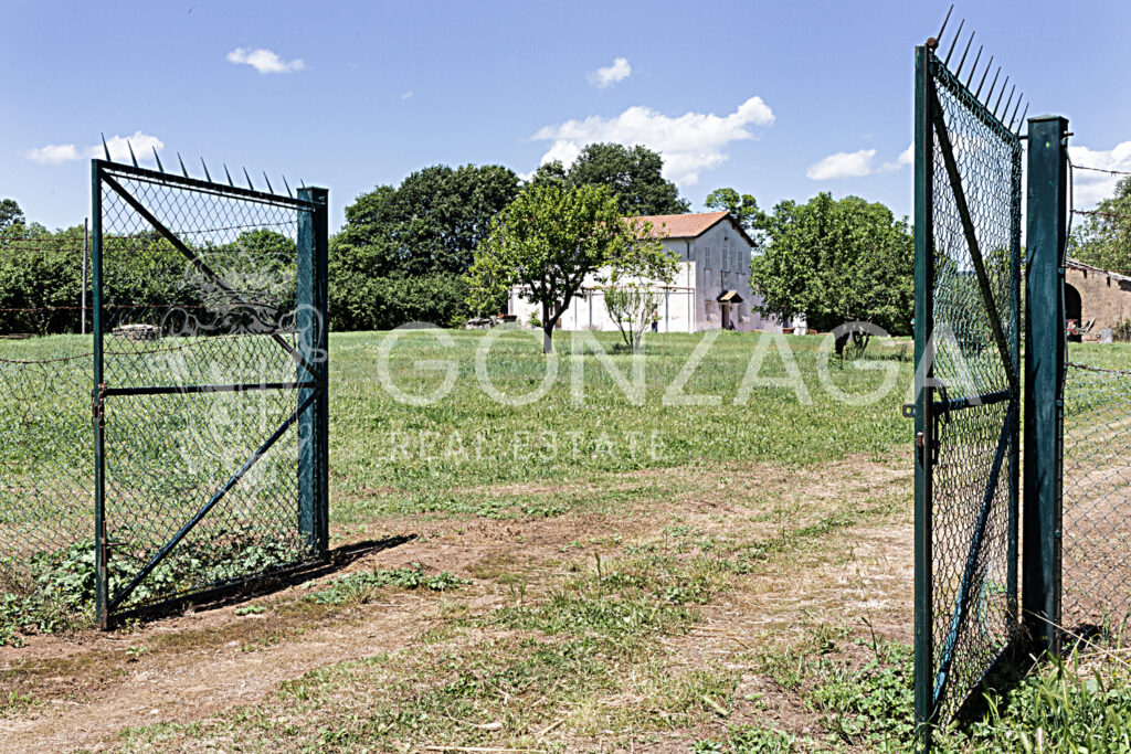 LCG_Capranica_21