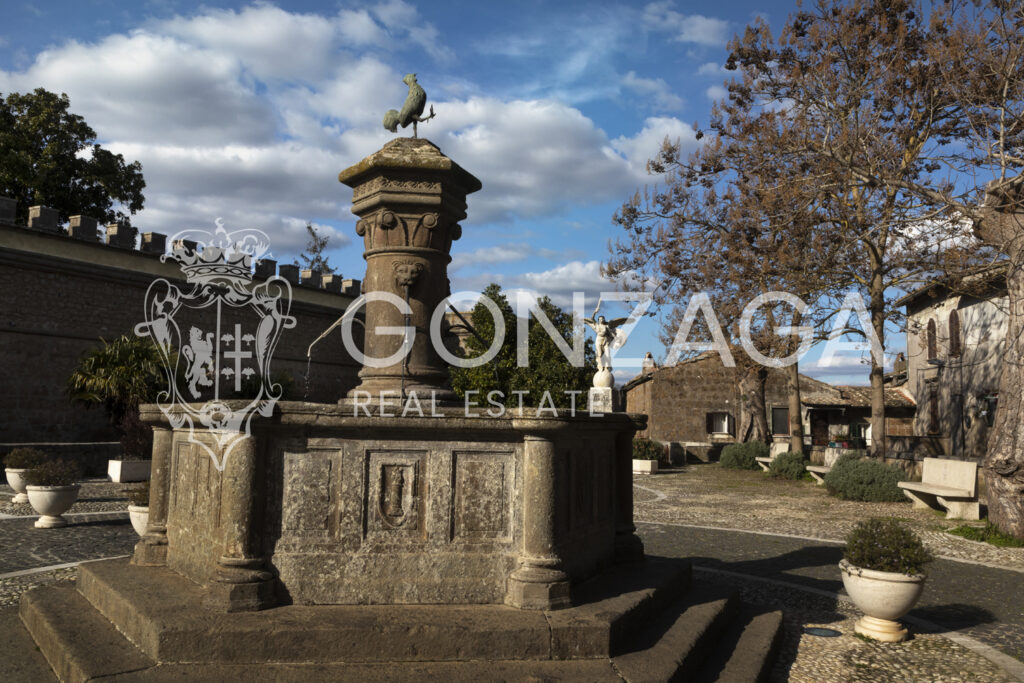 LCG_Gallese_centro_02
