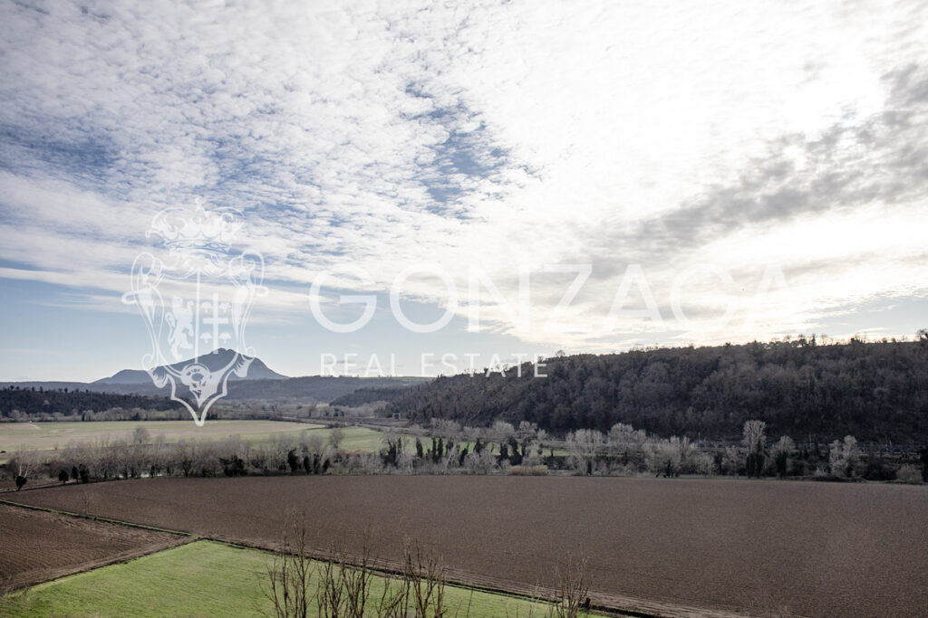 Foglia_Villetta_15 copia
