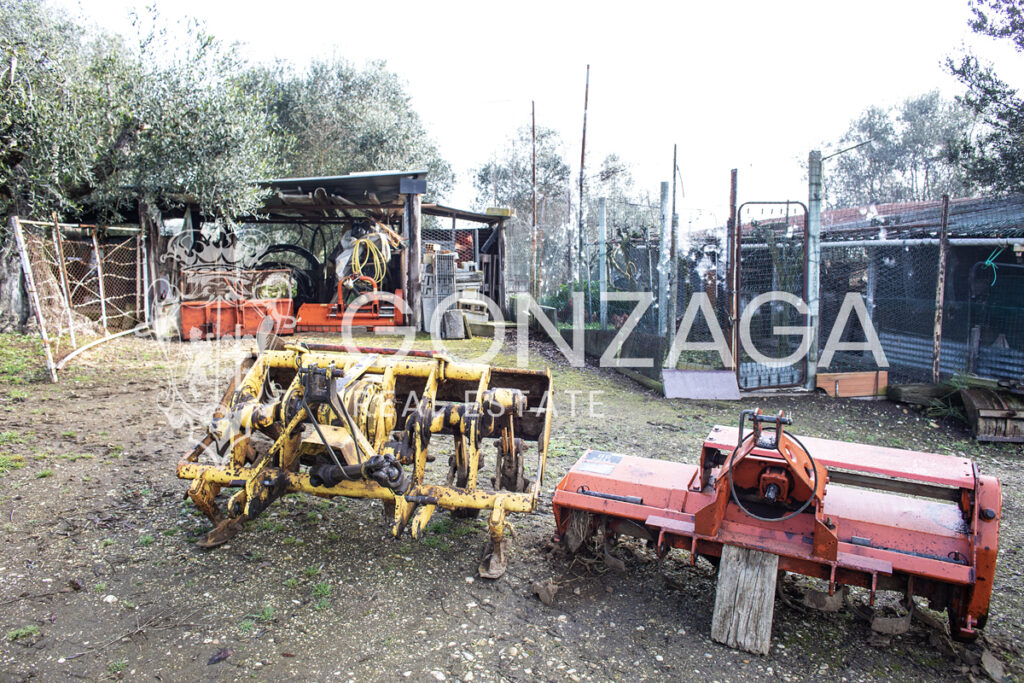 Gallese_terreno_bis_01