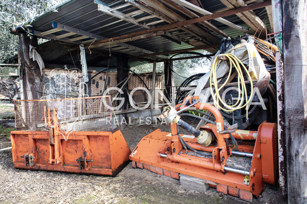 Gallese_terreno_bis_03