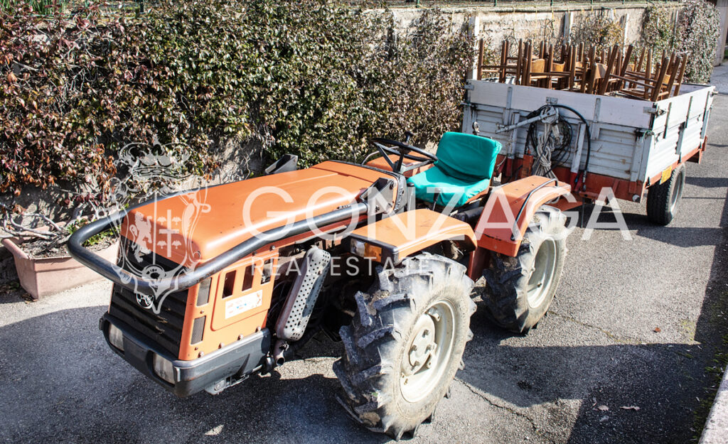 Gallese_terreno_bis_08