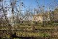 Gallese_Romeo_casale_terreno_06