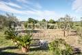 Casale_Gallese__11 copia
