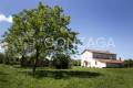 LCG_Capranica_02