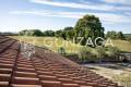 Casale_Gallese__05 copia