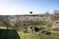 Gallese_Romeo_casale_terreno_10