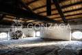LCG_Gallese_centro_20