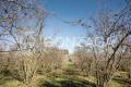 Gallese_Romeo_casale_terreno_12