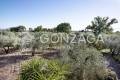 Casale_Gallese__08 copia