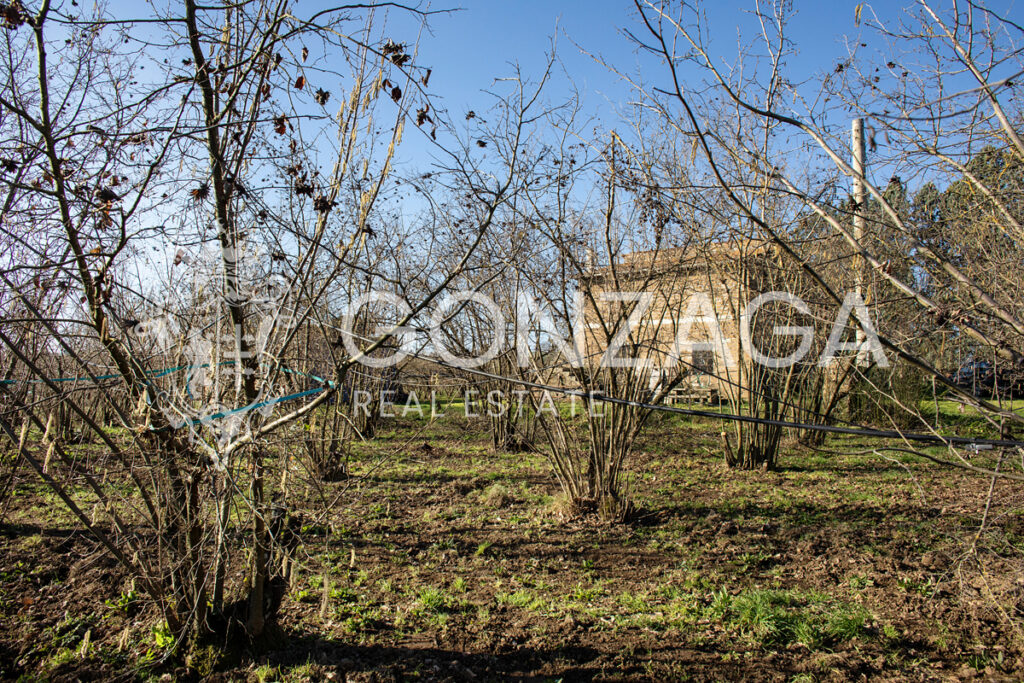 Gallese_Romeo_casale_terreno_06