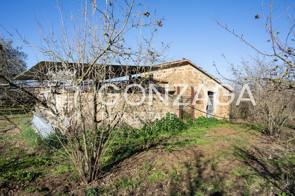Gallese_Romeo_casale_terreno_13